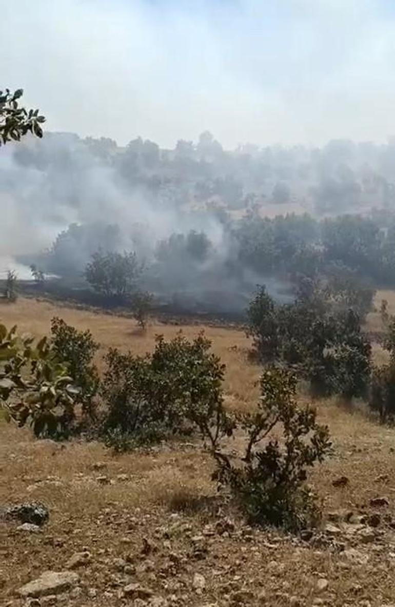 Mardinde orman yangını 2 saatte söndürüldü