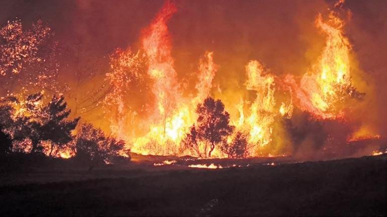 Çanakkale’de 1500 hektarlık alan yangından etkilendi: Alevler yerleşim yerlerine sıçradı