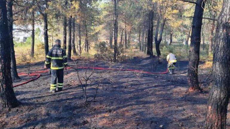 Kocaeli’de orman yangını kontrol altına alındı