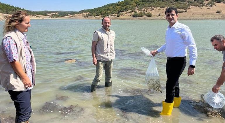 Bakanlık hayata geçirdi Binlercesi suyla buluştu