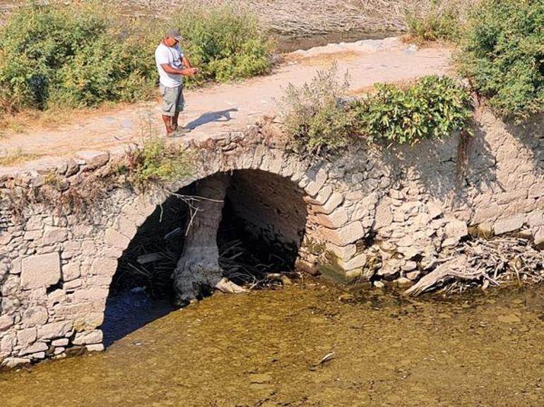 Büyük Menderes kurudu, yüzlerce balık ölmeye başladı