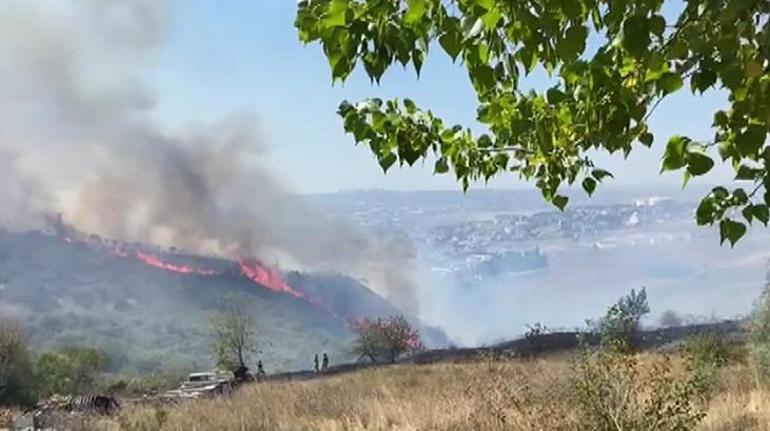 Büyükçekmecede yol kenarındaki ağaçlarda yangın