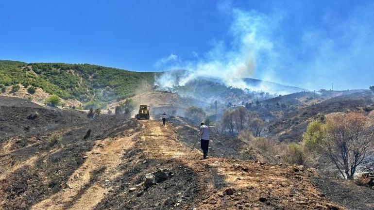 Çankırıda orman yangını Karadan havadan müdahale