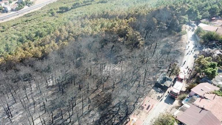 Maltepede orman yangını Alevler evlere yaklaştı