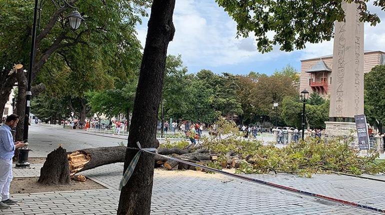 Sultanahmette ağaç devrildi 30 kişilik turist grubu son anda kurtuldu