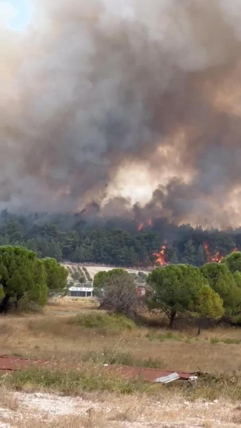 İzmirde orman yangını Havalimanı uçuşlara kapatıldı
