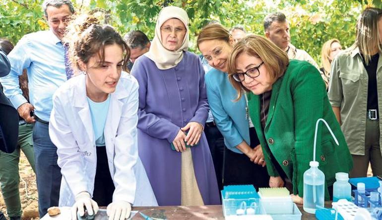 Şanlıurfa’da fıstık hasadı heyecanı