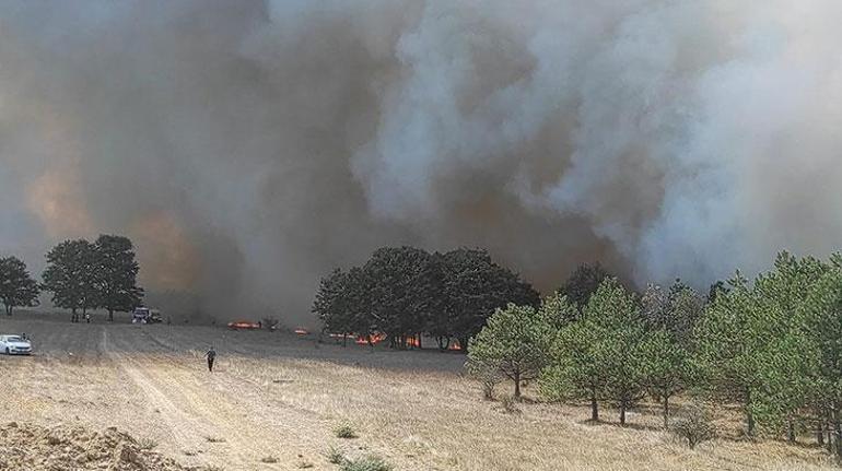 Tekirdağda orman yangını Okullar tahliye edildi