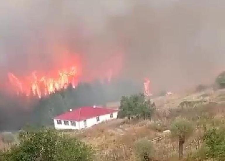 3 kentte orman yangını Zamana karşı yarış