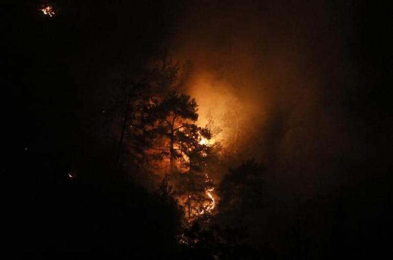 Antalya ve İzmirde orman yangını İşte son durum