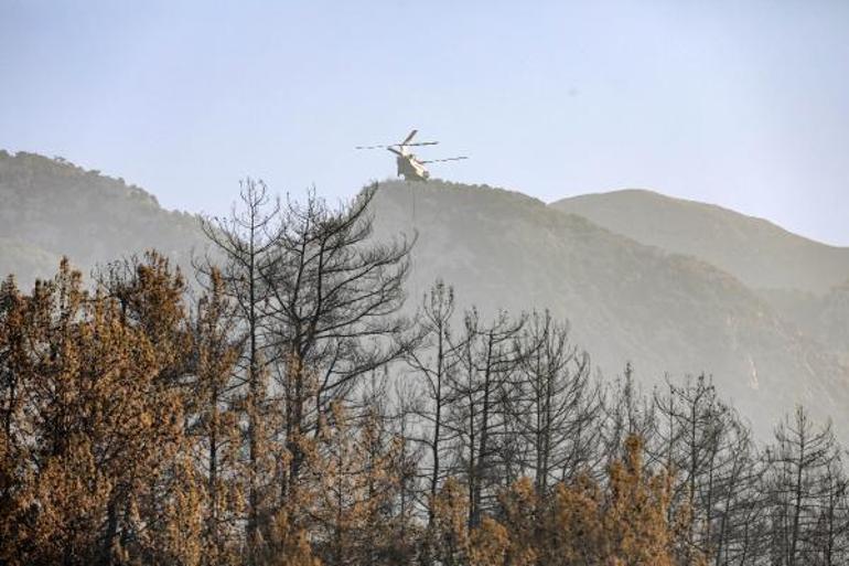 İzmirde orman yangını İşte son durum