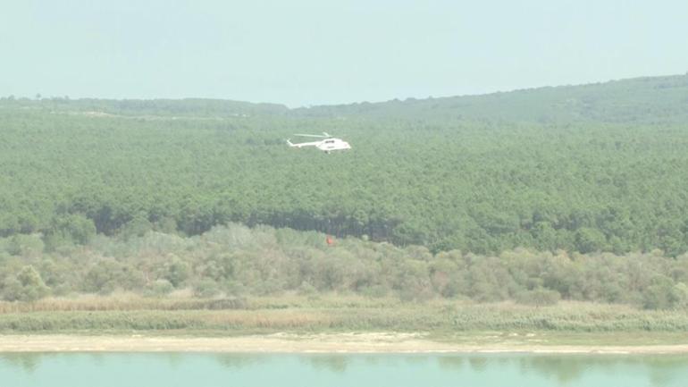 İstanbulda ormanlık alanda yangın