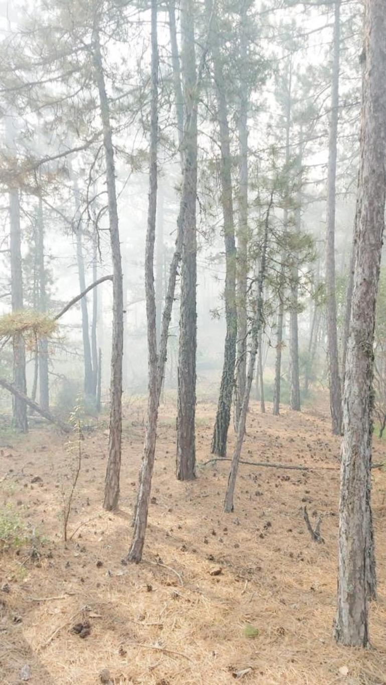 Kütahyada orman yangını Havadan karadan müdahale