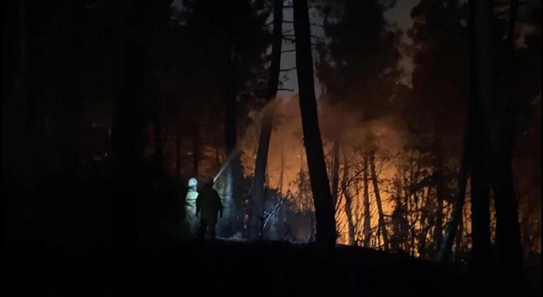 Çekmeköydeki orman yangını söndürüldü