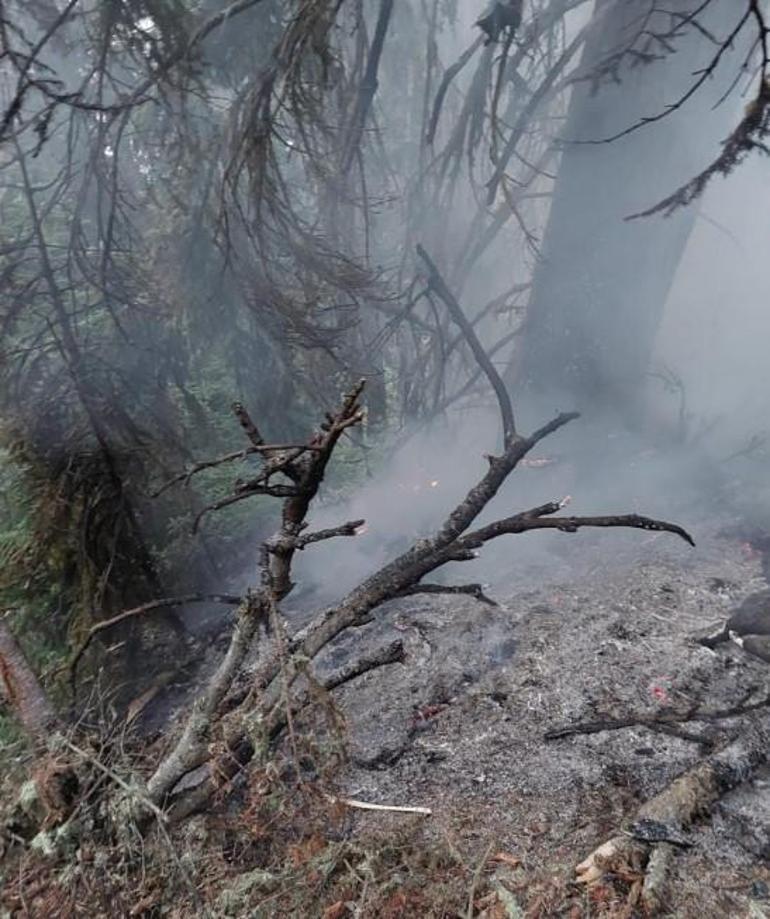 Artvinden yıldırım düşmesi sonucu orman yangını çıktı