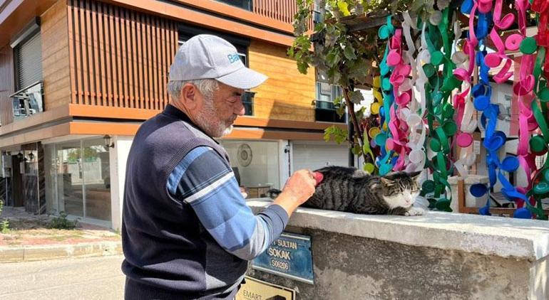 Genç kız hayvana şiddet videosuna yorum yaptı Hayatının şokunu yaşadı