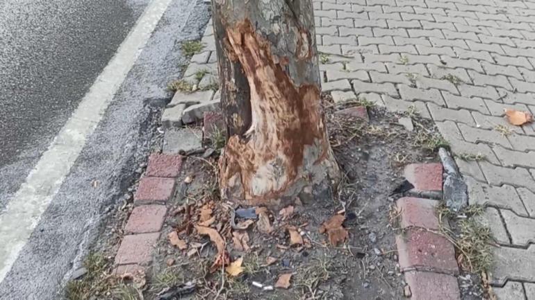 İstanbulda gizemli kaza: Ağır ceza hakimi yaralandı