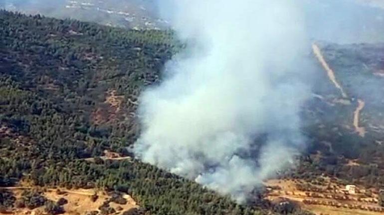 İzmirde orman yangını Havadan ve karadan müdahale ile kontrol altına alındı