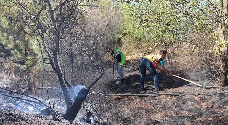 Edirnede TEM kenarında orman yangını 10 dönüm alan zarar gördü