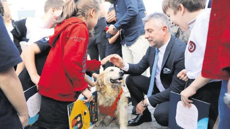 Balıkesir’de zeytin hasadı coşkusu