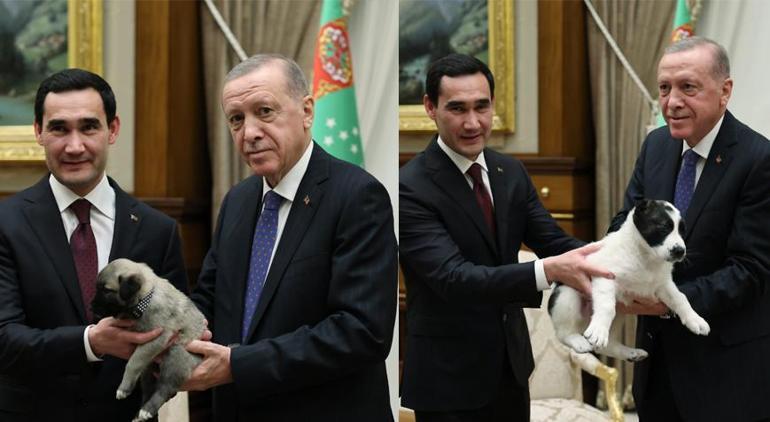 Türkmenistan ile 13 anlaşma imzalandı Erdoğandan iş birliği vurgusu