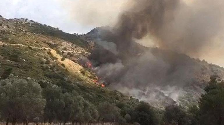 Muğlada makilik alanda yangın 6 uçak, 4 helikopter sevk edildi