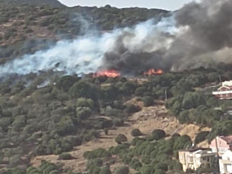 İzmirde  yerleşim yerlerine yakın alanda orman yangını çıktı