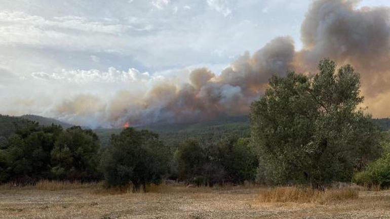 Çanakkale, Muğla ve İzmirde yangın haberleri Son durum açıklandı