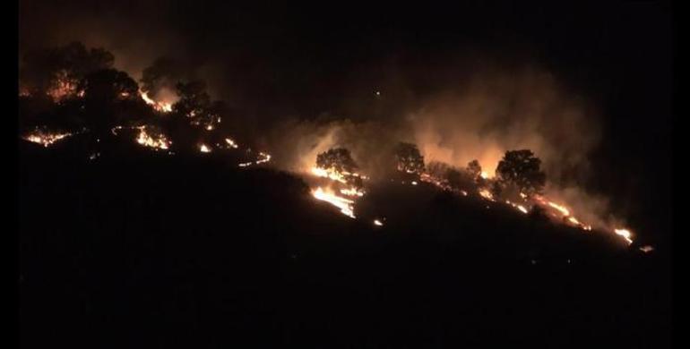 Balıkesirde orman yangını kontrol altına alındı