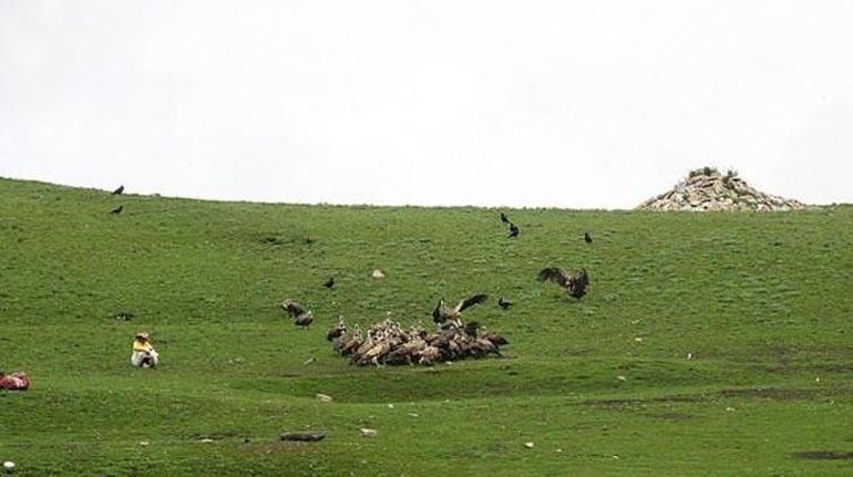 Ölülerini akbabalara yem ediyorlar Kan dondursa da sebebi çok başka