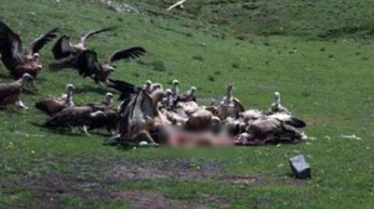 Ölülerini akbabalara yem ediyorlar Kan dondursa da sebebi çok başka