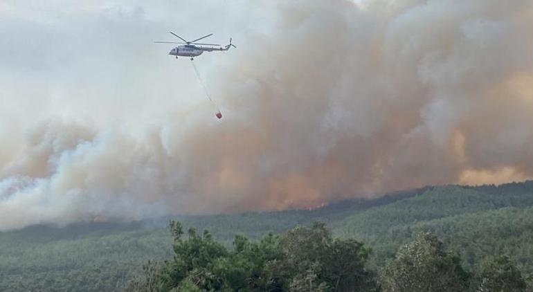 Çanakkaledeki 3 büyük orman yangını ile ilgili korkunç bilanço