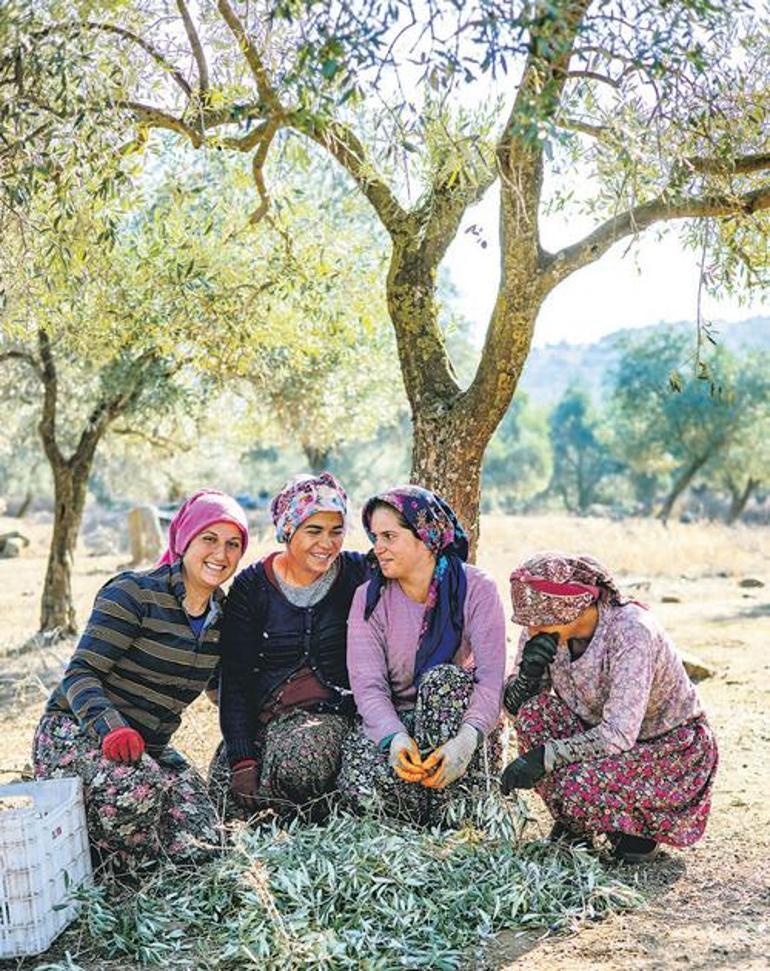 Anıt ağaç sesleniyor: “Beni korursan, kendini korursun”