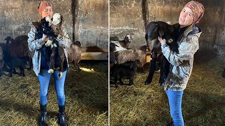 3 keçiyle başladı, 3 yılda hayatı değişti Etlenmez dediler, şimdi şirket kuracak