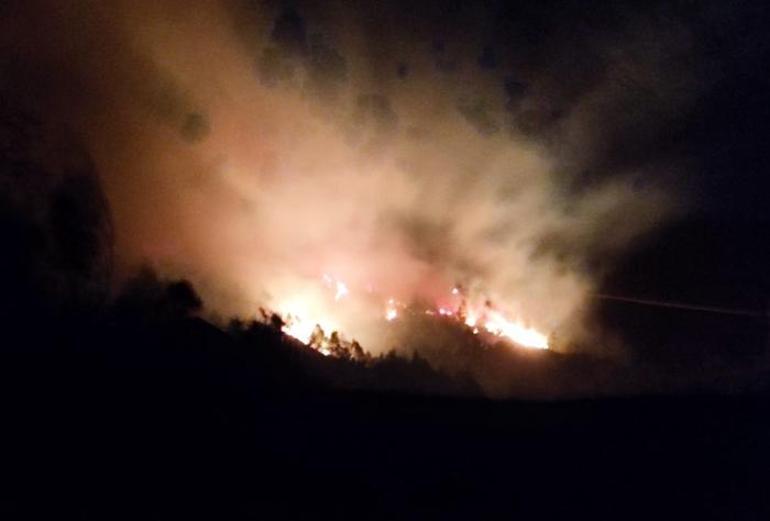 Trabzonda orman yangını Ekipler müdahale etti