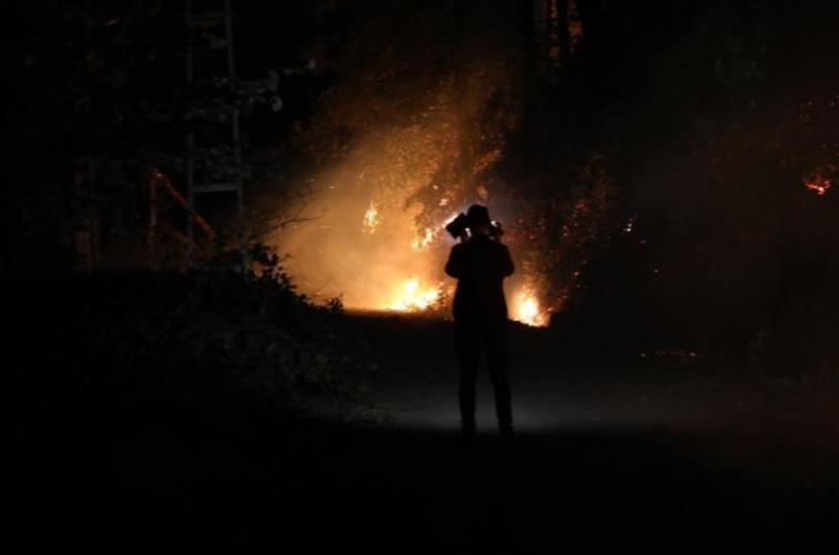 Trabzonda orman yangını Ekipler müdahale etti