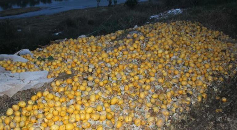 Adana’da şoke eden manzara Tonlarca limon dere yatağına döküldü