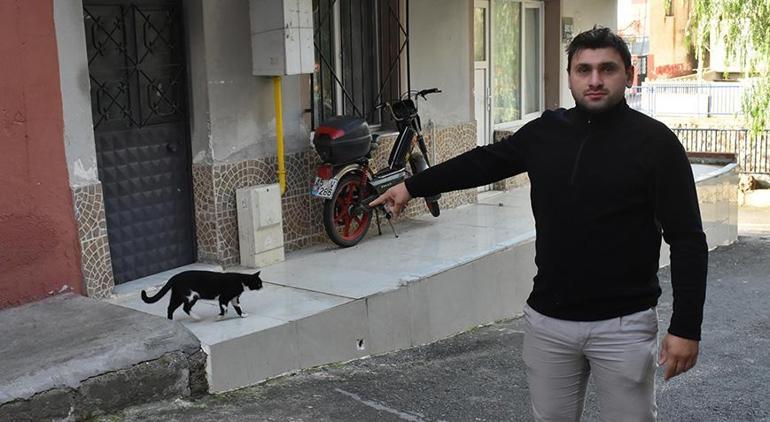 İzmirde vahşet Sokak kedisine keserle saldırdı, dereden ölü yavru kediler çıktı