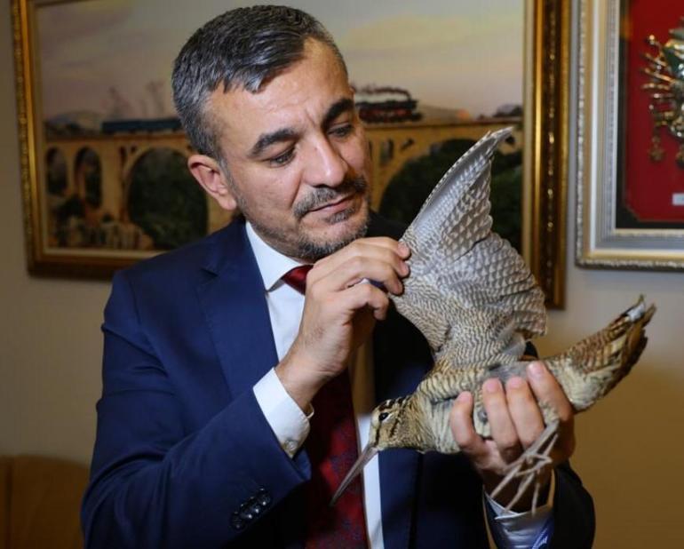 Adanada Sibirya suçulluğu yaralı halde bulundu