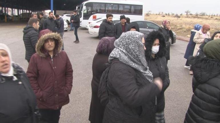 Ankarada başıboş köpek dehşeti  Bakan Yerlikaya: Soruşturma başlatıldı