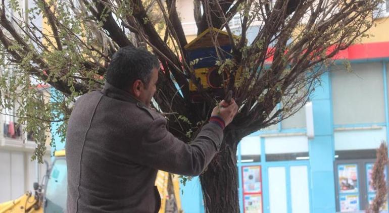 Özalplı öğrencilerden örnek proje 150 kuş evi yaparak çeşitli noktalara bıraktılar