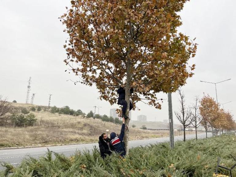 Kahreden ölüm 28 yaşındaki Gamzenin çantası ağaçta bulundu