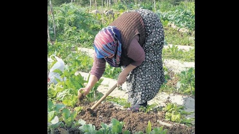 Tuzla’da uluslararası mutfak günleri