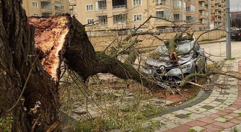Bursada fırtına Deniz otobüsü seferleri iptal edildi, ağaçlar devrildi