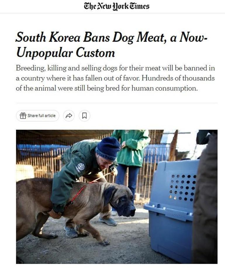 Artık köpek eti yemeyecekler Ülke tarihe geçen karar, oylamada ret çıkmadı