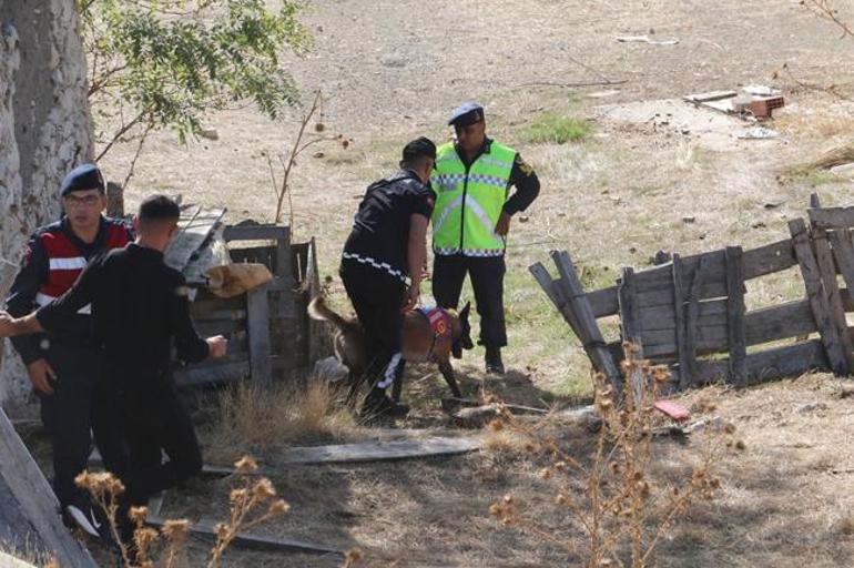 Kardeş cinayetinde kan donduran ifadeler: Cansız bedenini yabani hayvanlara attı