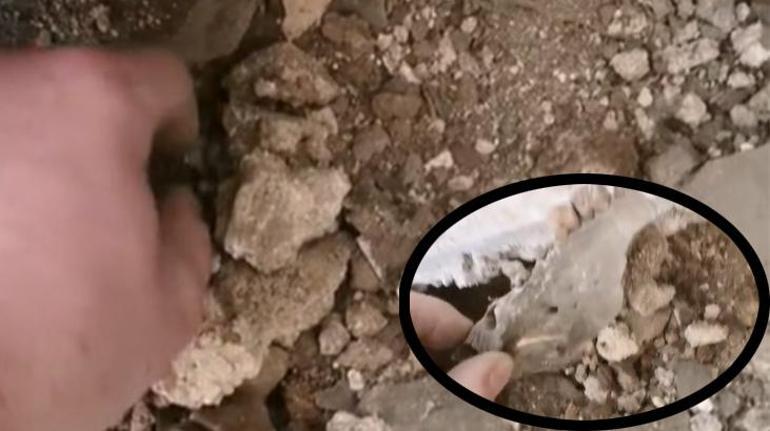 Tesisat için girdi, avuç avuç kemik buldu 200 yıllık evde neye uğradığını şaşırdı