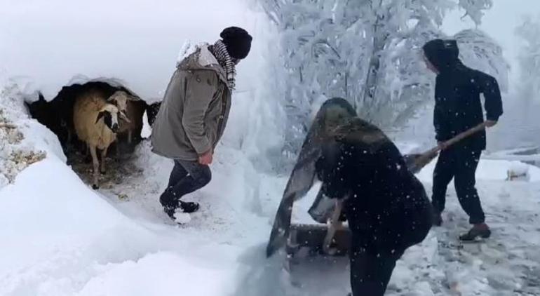 Vanda kar esareti Onlarca yol kapandı, doğum sancısı tutan kadına sağlık ekibi iş makinesiyle taşındı
