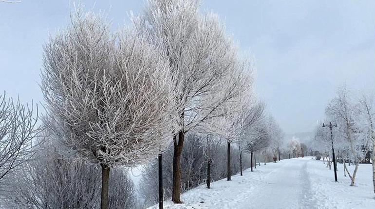 Meteorolojiden 31 kente uyarı Beklenen kar geliyor: 20 santimetreyi geçecek