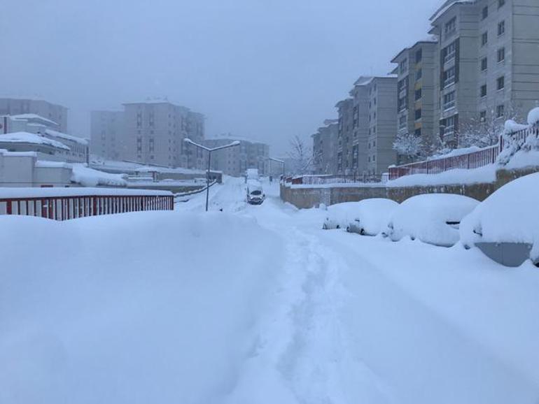 Kar esareti 355 köy ve mezra yolu ulaşıma kapandı, kara yoluna çığ düştü